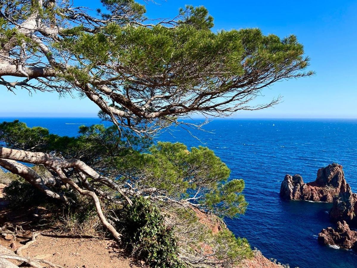 Les Cactus Frejus Plage Buitenkant foto