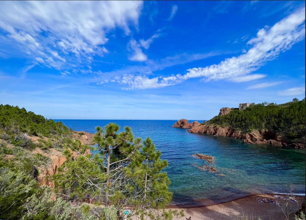 Les Cactus Frejus Plage Buitenkant foto