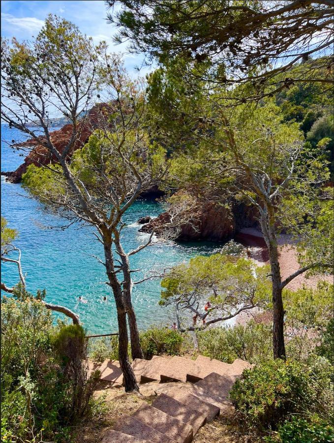 Les Cactus Frejus Plage Buitenkant foto