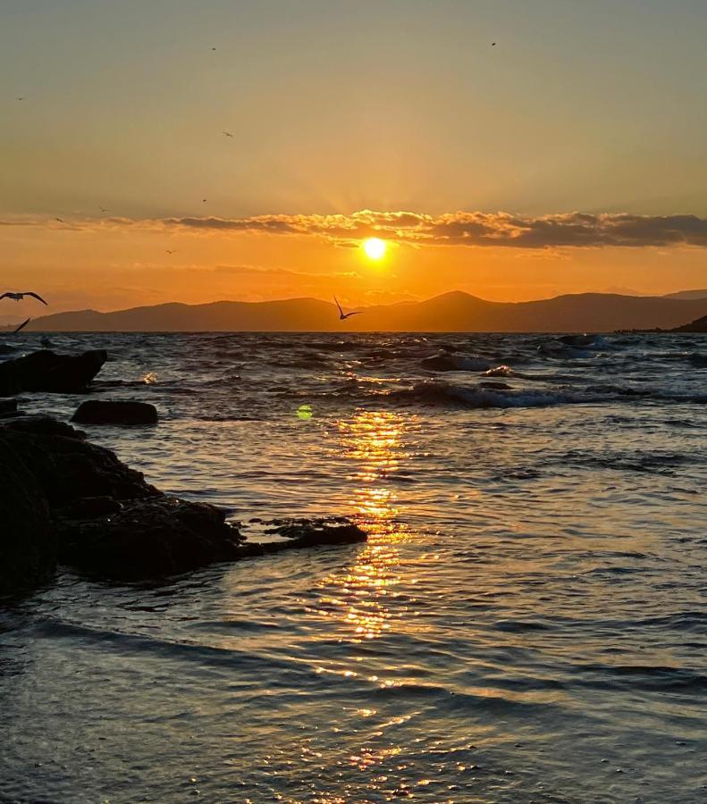 Les Cactus Frejus Plage Buitenkant foto