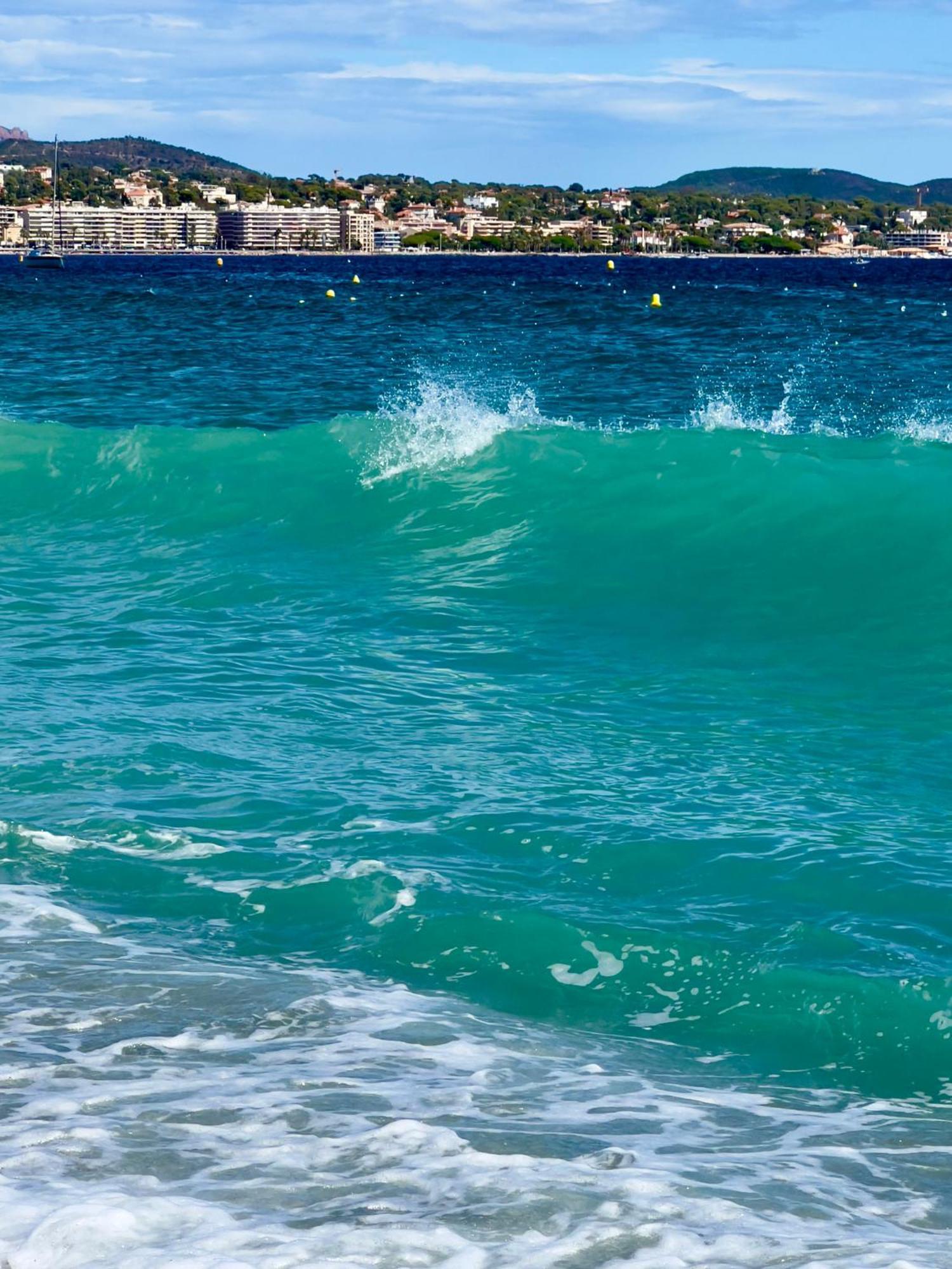 Les Cactus Frejus Plage Buitenkant foto